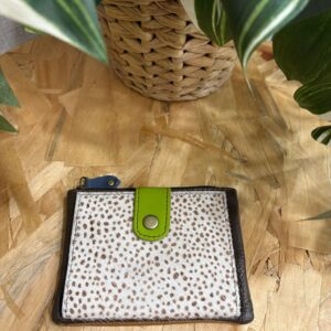 Carterita multicolor